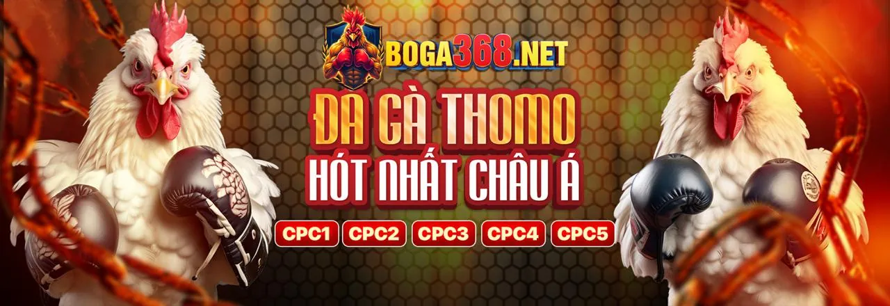 Đá Gà Trực Tuyến e28bet Khuyến Mãi 2026