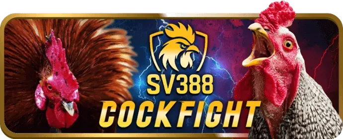 Ưu Đãi Đặc Biệt VIP Đá Gà